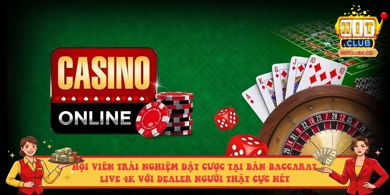 Hội viên trải nghiệm đặt cược tại bàn Baccarat Live 4K với Dealer người thật cực nét